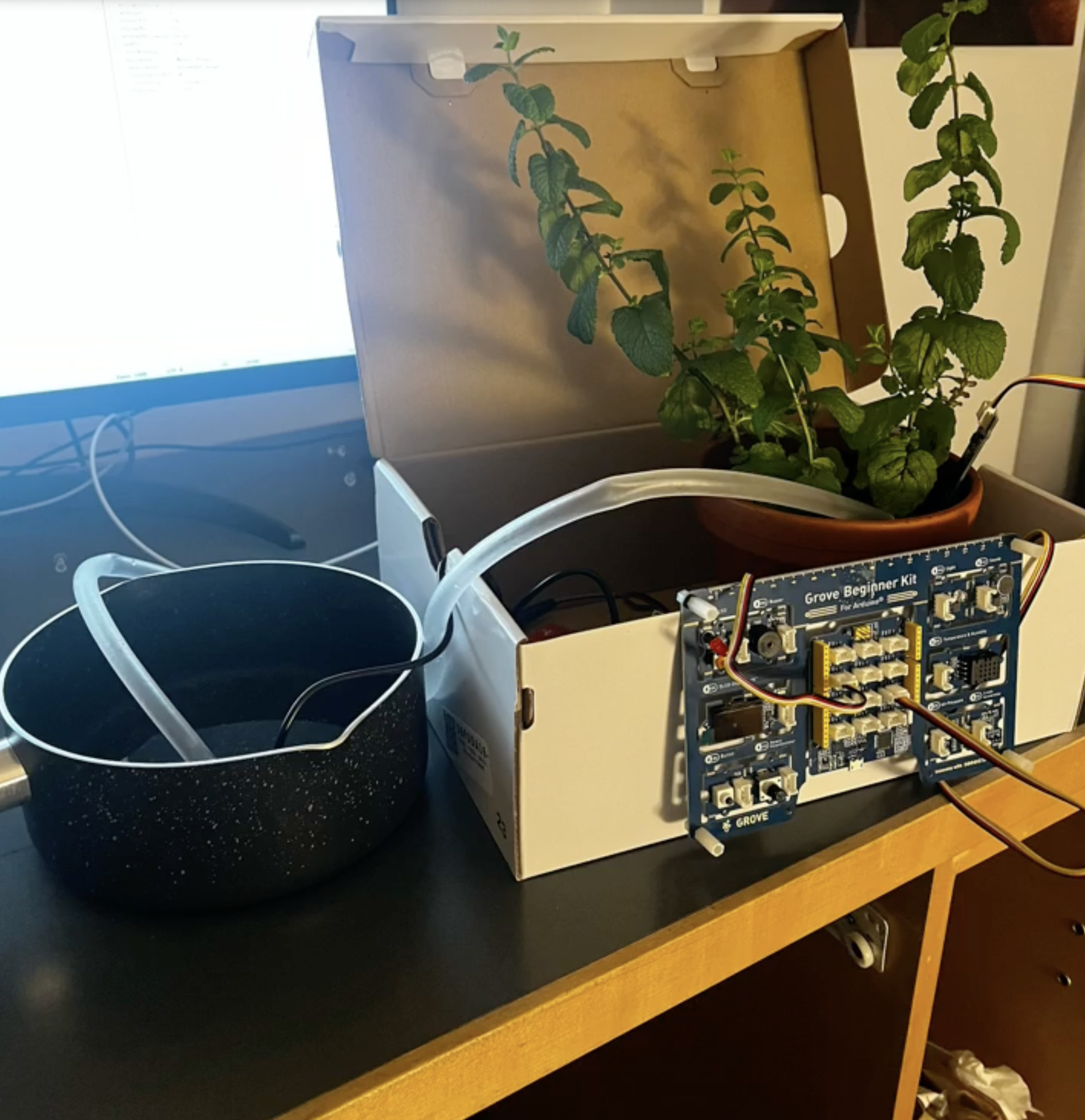 Self Watering Flower Pot Project